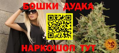 гашик Краснознаменск