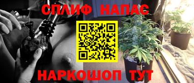 герыч Краснодар