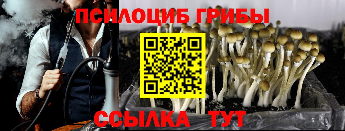 Южноуральск  Галлюциногенные грибы MAGIC MUSHROOMS  Вход с VPN 